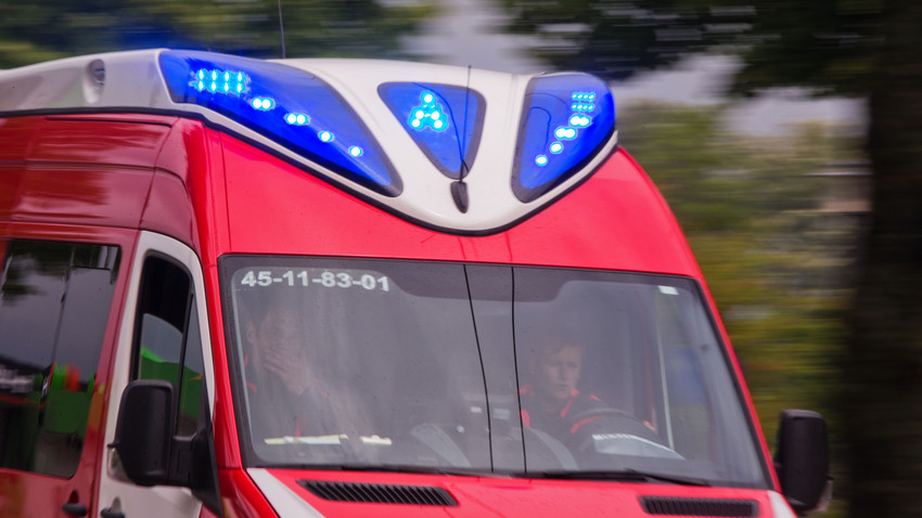 Mögliche Eibe-Vergiftung an Grundschule in Alsbach-Hähnlein