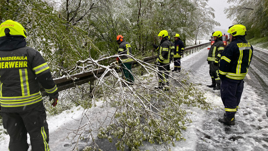 Winterwetter in Hessen: Umgestürzte Bäume und Verkehrsunfälle