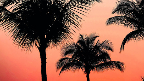 sommer 2020: planet radio holt die welt zu dir