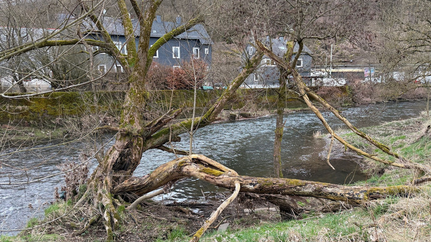 Drama bei Kitaausflug: 3-Jähriger stirbt nach Sturz in Fluss