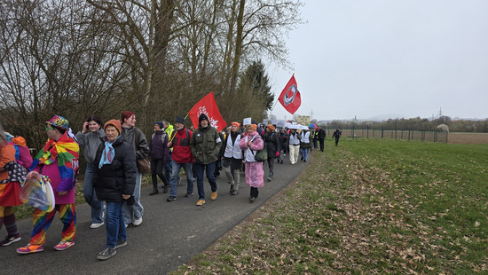 Gründung der hessischen AfD-Jugend: 1.000 bei Protesten