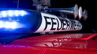 Feuer in Mastbetrieb - Rund 500 Schweine sterben