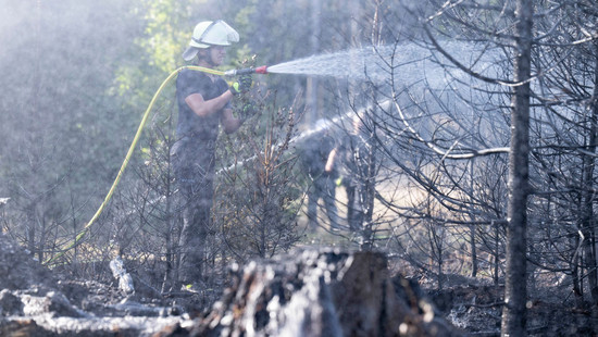 Erneut Feuer im Wald bei Glashütten: Polizei vermutet Brandstiftung