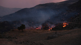 6.000 Evakuierungen wegen Waldbränden auf Insel Kreta