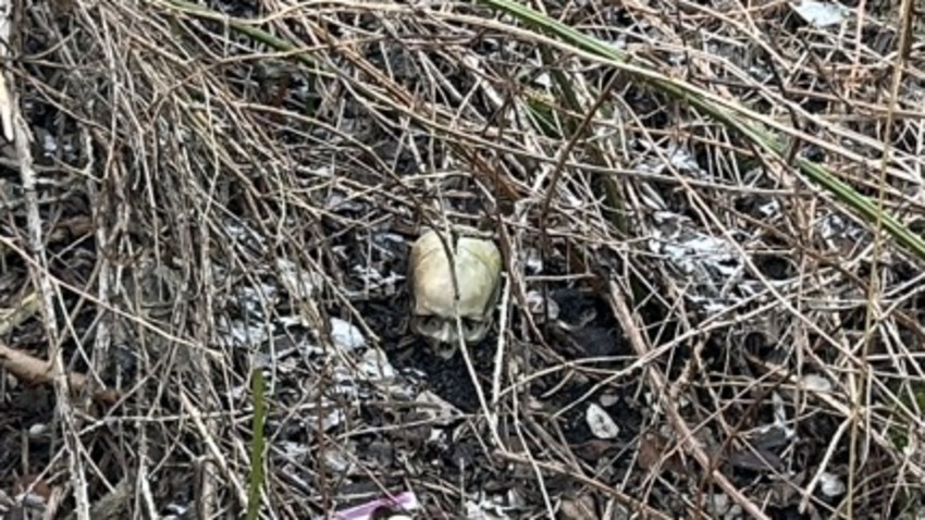 Menschliche Knochen an Bahndamm in Worms gefunden