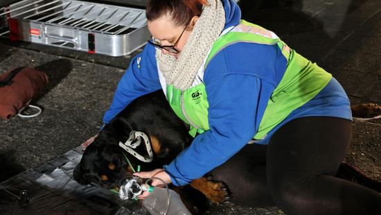 Wohnhausbrand in Großostheim: Mehrere Verletzte und Hund reanimiert