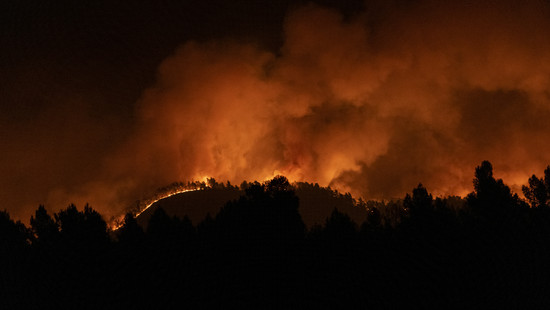 Mehr als 4000 Hektar zerstört: Waldbrände wüten in Spanien
