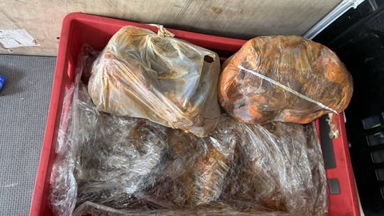 Schlangenlinien bei Hanau: Polizei stoppt Ekel-Fleischtransporter