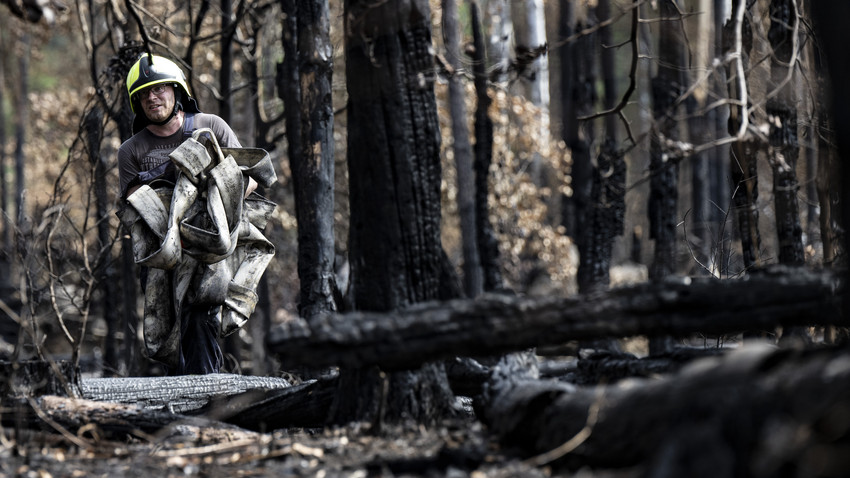 4500 Einsatzkräfte beteiligt: Waldbrand in Münster ist gelöscht