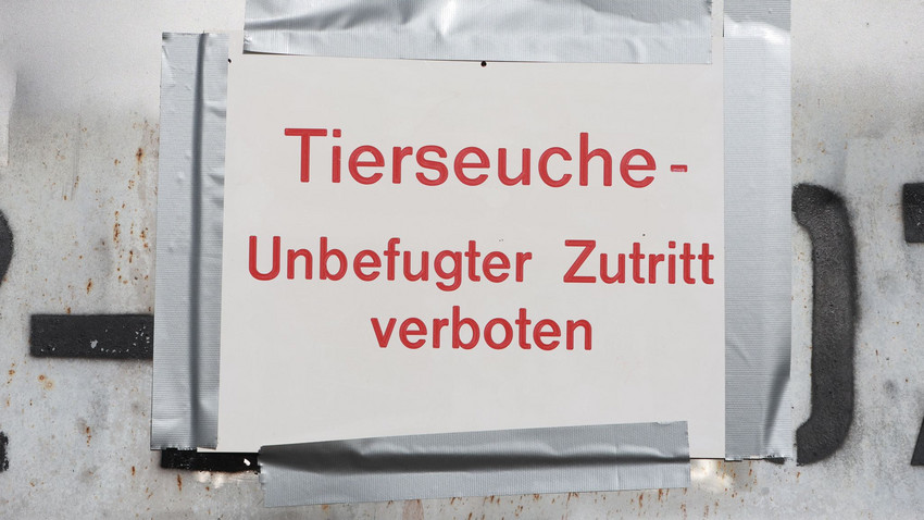 Geflügelpest in Hungen: Kreis Gießen verhängt Stallpflicht