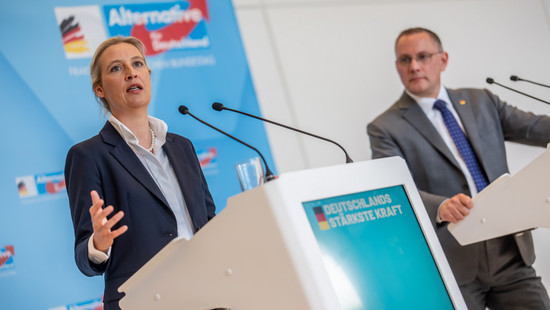 AfD in aktueller Umfrage deutlich vor der Union