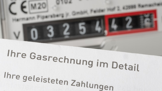 Info-Post im Müll und Katzen-Kameras - Kuriose Fälle der Datenschützer