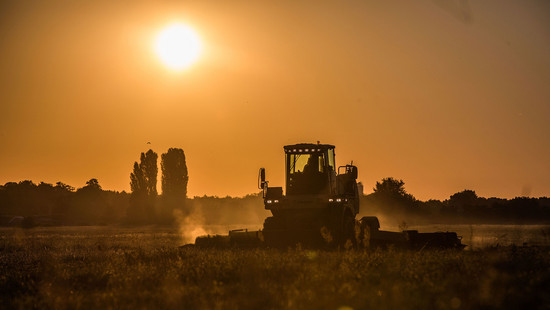 Hessen bietet finanzielle Hilfe für Landwirte nach Ernteausfällen