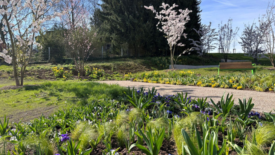 Letztes Wochenende der Landesgartenschau in Fulda: Volles Programm
