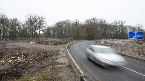 Riederwaldtunnel in Frankfurt: Bäume dürfen trotz Käfer gefällt werden