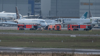 Vogelschlag - Flugzeug kehrt zum Flughafen Frankfurt zurück