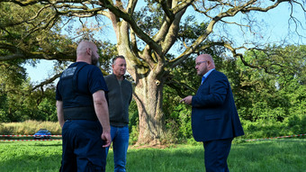 Mysteriöse Vergiftung: 200 Jahre alte Eiche in Gefahr