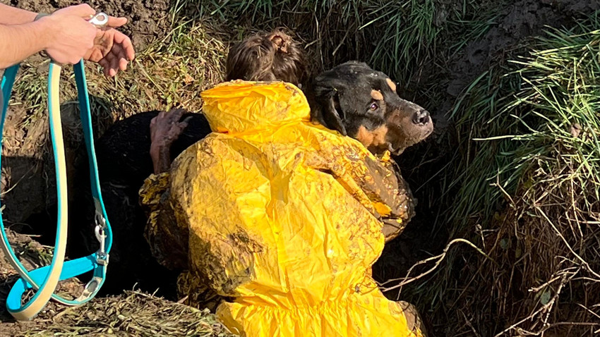 Oestrich-Winkel: Hund aus Abwasserrohr gerettet