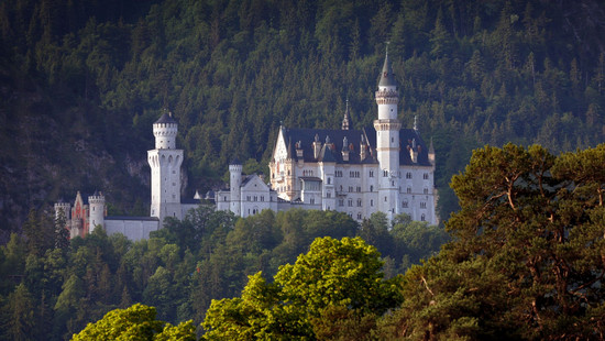 Schlossbesucherin sperrt Hund in Neuschwanstein-Schließfach ein