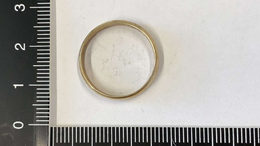 Kinder finden über 60 goldene Ringe im Wald bei Johannesberg