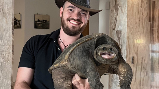 Biblis: Hochwasser spült exotische Riesen-Schildkröte an Land
