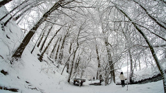 Das Wetter in Hessen: Frost & Schnee - ganz schön winterlich