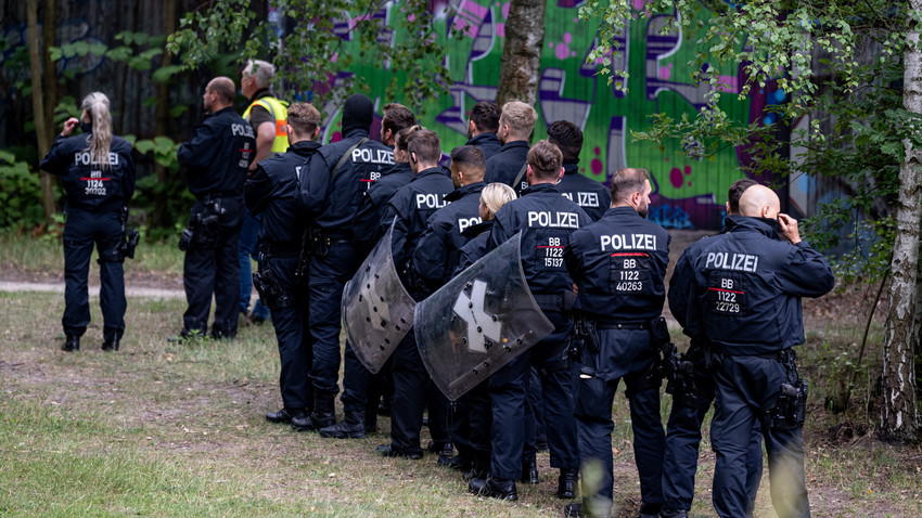 Löwin ist keine, sondern wohl ein Wildschwein - Entwarnung bei Berlin: