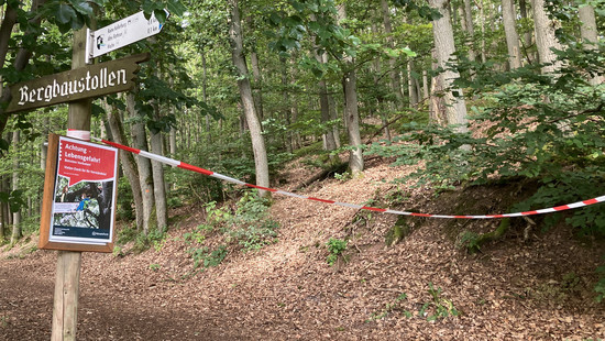 Burgberg in Battenberg: Hessen-Forst sperrt ganzes Waldgebiet
