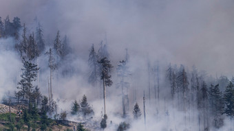 Waldbrand am Altkönig im Taunus gelöscht