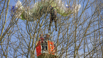 Gleitschirmfliegerin bleibt bei Landeunfall im Baum hängen