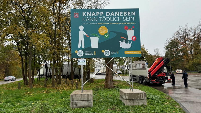 Hessen kämpft gegen Afrikanische Schweinepest mit neuer Info-Kampagne