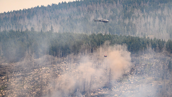 Waldbrand am Brocken unter Kontrolle: Suche nach Ursache läuft