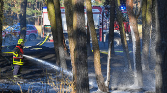 Hanau: Waldbrand bei Fasanerie in Klein-Auheim - Feuerwehr im Einsatz