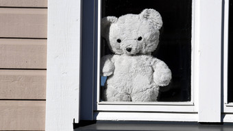 Teddybär hilft bei Aufklärung von Diebstahl von Post in Mainz