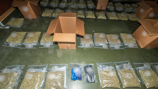 Rhein-Main und Bayern: 10 Drogen-Dealer in U-Haft - Bande zerschlagen
