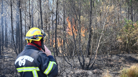 Feuer flammen immer wieder auf – «Wir kämpfen Baum um Baum»