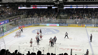Kassel Huskies verlieren gegen Regensburg - Aufstiegs-Traum geplatzt