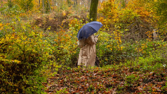 Bilanz Wetter Hessen: Oktober zu trüb und zu warm