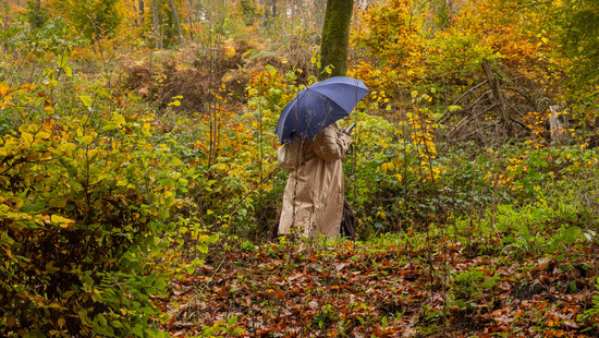 Bilanz Wetter Hessen: Oktober zu trüb und zu warm