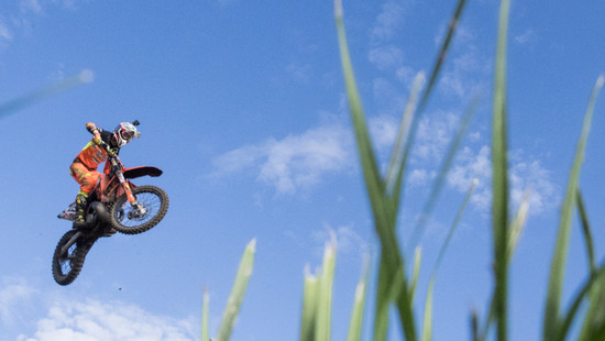 Illegale Motocross-Fahrten in Crumstädter Wald bei Riedstadt