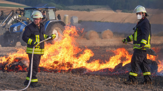 Waldbrand im Vogelsbergkreis: Ursachen und Tipps zum Schutz