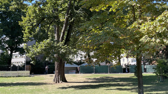 Darmstadt: Drogenproblem mit öffentlichem Konsum im Herrngarten