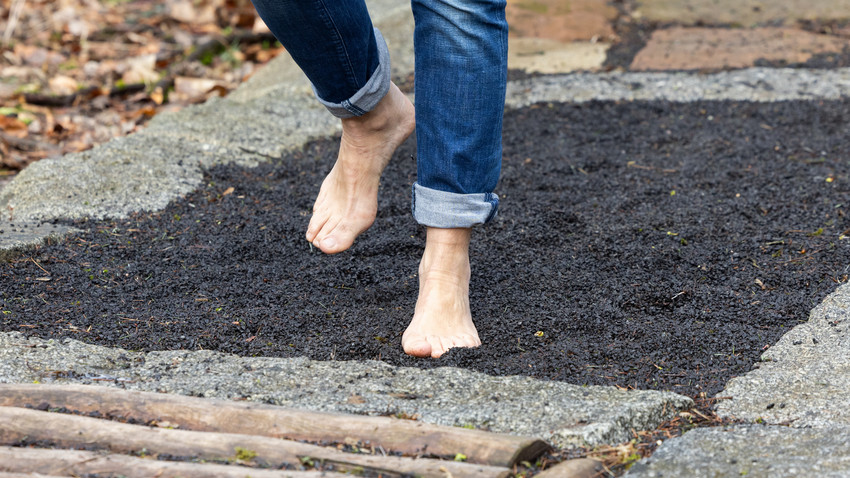 Hoher Meißner ist Deutschlands bester Barfußpfad