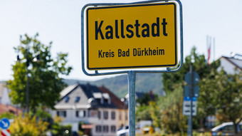 AfD in Rheinland-Pfalz will Trump zum Ehrenbürger machen