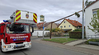 Kirmesbaum kracht auf Dorfgemeinschaftshaus in Groß-Gerau