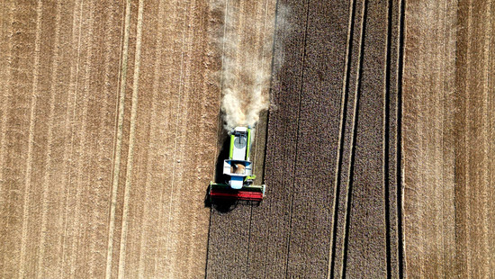 Getreideernte in Hessen: Gut ein Viertel mehr geerntet