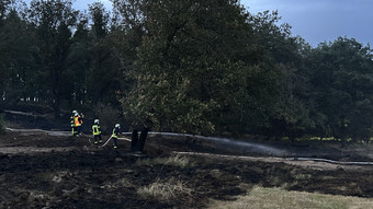 Großeinsatz der Feuerwehr: Wald brennt bei Weilrod im Taunus