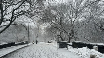 Blizzard trifft Nordosten USA: Fahrverbot in New York