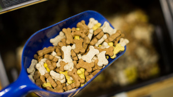 Tierfutter seit 2020 mehr als ein Drittel teurer