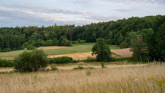 Waldbrandgefahr in Bayern: höchste Stufe an hessischer Grenze